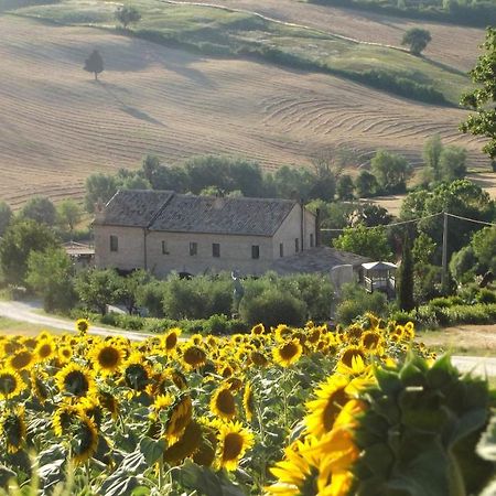 La Casa degli ulivi Art B&B Trecastelli Esterno foto
