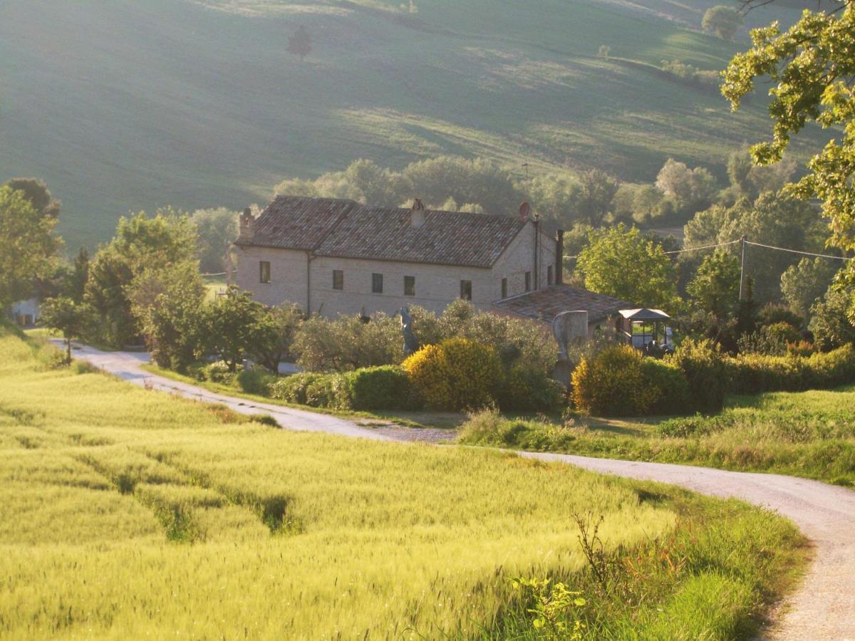 La Casa degli ulivi Art B&B Trecastelli Esterno foto