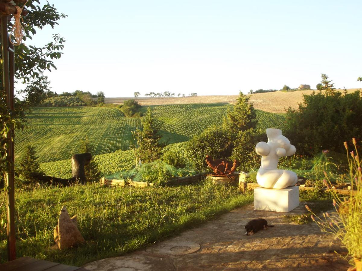 La Casa degli ulivi Art B&B Trecastelli Esterno foto