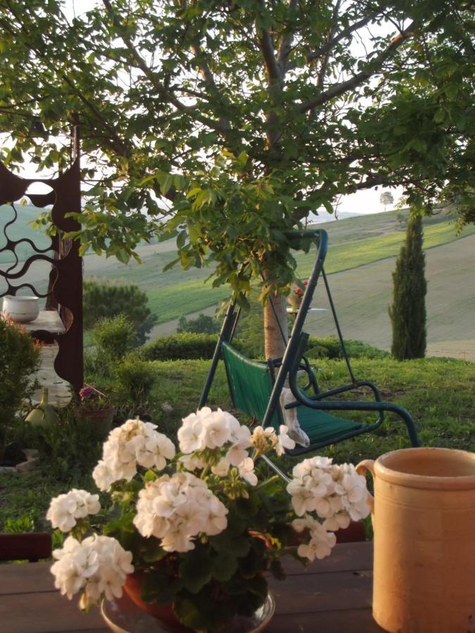 La Casa degli ulivi Art B&B Trecastelli Esterno foto