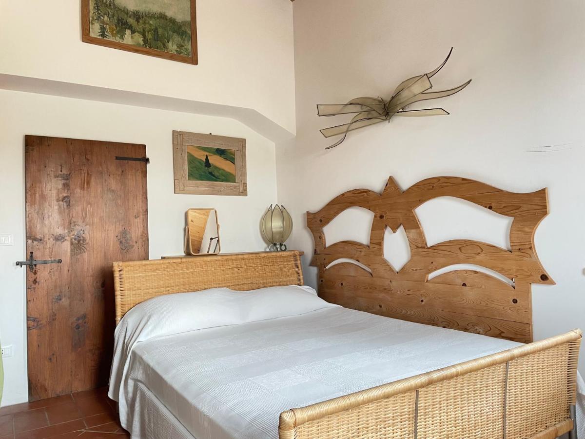La Casa degli ulivi Art B&B Trecastelli Esterno foto